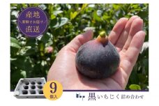 [№5904-0536]【先行予約】黒いちじく詰め合わせ　9個入り