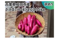 [№5904-0538]成田市産　さつまいも（紅はるか）