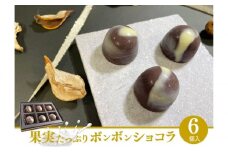[№5904-0537]【先行予約】果実たっぷりボンボンショコラ