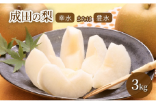 [№5904-0561]梨 【日時指定不可】 梨（幸水または豊水）3kg フルーツ 果物 なし 先行予約 特産品 旬のフルーツ 千葉県 成田市	