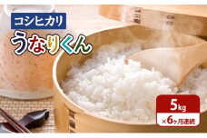 [№5904-0587]【令和6年度産】6ヶ月連続お届け「コシヒカリ」うなりくん5kg 白米 精米 米 こしひかり 成田市 千葉県