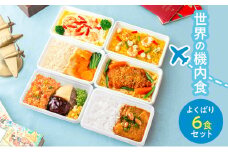 [№5904-0588]機内食 世界の機内食～よくばり6食セット～ 飛行機 食事 国際線 セット メインディッシュ フレンチ ドリア パエリア スペイン料理 チキンライス ハンバーグ タイ料理 カレー 成田市 千葉県