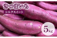 [№5904-0584]【訳あり】さつまいも5kg（シルクスイート） サツマイモ 薩摩芋 焼き芋 やきいも ヤキイモ 天ぷら 大学いも おやつ スイーツ スイートポテト 農家 産地直送 成田市 千葉県