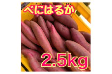 [№5904-0604]【ふるさと納税】べにはるか2.5kg　紅はるか サツマイモ さつまいも 芋 千葉県 成田市
