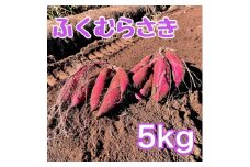 [№5904-0607]【ふるさと納税】ふくむらさき5kg　サツマイモ さつまいも 芋 千葉県 成田市