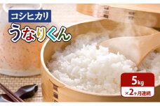 [№5904-0622]米 【令和6年度産】2ヶ月連続お届け「コシヒカリ」うなりくん5kg こしひかり コシヒカリ セット お米 精米 白米 定期便 成田市 千葉県