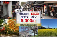 [№5904-0685]HISふるさと納税宿泊予約専用クーポン（千葉県成田市）6,000円分