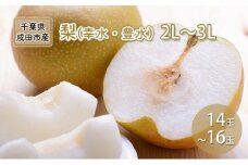 [№5904-0232]梨 幸水 豊水 2L～3L 14玉～16玉 なし ナシ 和梨 果物 くだもの フルーツ 旬のフルーツ 旬の果物 デザート 千葉 千葉県 成田市