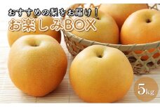 [№5904-0487]お楽しみBOX おすすめの梨をお届け 梨 7種の中からお任せ セット 詰め合わせ 豊水 秋月 かおり 新星 新高 甘太 にっこり なし ナシ 和梨 果物 くだもの フルーツ 旬のフルーツ 旬の果物 デザート 千葉 千葉県 成田市