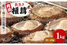 焼いて塩だけでも美味!「肉厚」長生き椎茸1kg(30～40枚)×1パック【1288620】