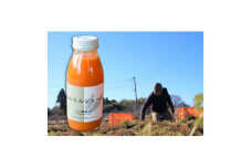 千葉の人参農家が作ったにんじんジュース200ml×20本【1289991】