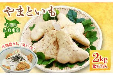 佐倉市産やまといも　2kg×1箱【1293687】