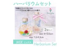 ハーバリウムセット MIX お祝いやお誕生日におすすめ【1636486】