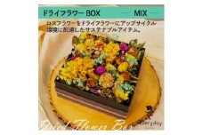 ドライフラワーBOX MIX お祝いやお誕生日におすすめ【1636494】
