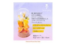 プリザーブドフラワーローズドーム イエロー系 お祝いやお誕生日におすすめ【1636499】