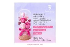 プリザーブドフラワーローズドーム ピンク系 お祝いやお誕生日におすすめ【1636500】