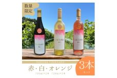 ＜数量限定＞佐倉産初!ワイン　厳選3本セット　赤・白・オレンジワイン【1637172】
