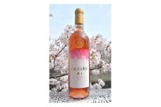 ＜数量限定＞佐倉産初のワイン!ピノ・グリのオレンジワイン　720ml×1本【1637211】