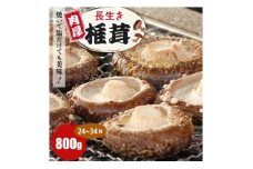 焼いて塩だけでも美味!「肉厚」長生き椎茸800g(24～34枚)×1パック【1665538】