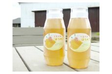 No.059 中村さんの東金産百花蜜(初夏蜜) 2本セット ／ 蜂蜜 はちみつ ハチミツ 非熱 安心 安全 千葉県
