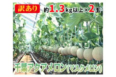 No.062 【約1.3kg以上×2玉】訳あり千葉アクアメロン（マスクメロン）大玉 ／ 果物 フルーツ 温室メロン 千葉県