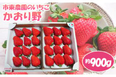 No.074 【市東農園のいちご】かおり野　約900g ／ フルーツ イチゴ 苺 千葉県