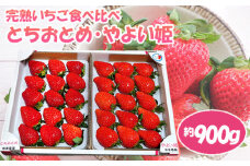 No.086 【とちおとめ／やよい姫】市東農園の完熟いちご食べ比べセット　約900g ／ フルーツ イチゴ 苺 千葉県