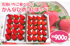 No.085 【かんなひめ／紅ほっぺ】市東農園の完熟いちご食べ比べセット　約900g ／ フルーツ イチゴ 苺 千葉県