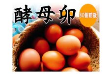 No.088 酵母卵 ／ たまご タマゴ 千葉県