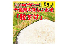 No.114 東金市産のお米「粒すけ」5kg ／ 白米 精米 千葉県 特産品