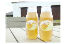 No.117 【非加熱・自家絞り】千葉県東金市産はちみつ（百花蜜）2本セット ／ 蜂蜜 ハチミツ 無添加 千葉県