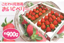 No.154 こだわり完熟苺（おいCベリー）900g ／ イチゴ いちご 果物 千葉県
