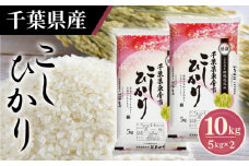 No.160 令和6年産 千葉県産コシヒカリ5kg×2袋 ／ お米 こしひかり 千葉県