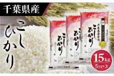 No.161 令和6年産 千葉県産コシヒカリ5kg×3袋 ／ お米 こしひかり 千葉県