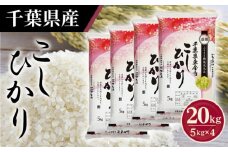 No.162 令和6年産 千葉県産コシヒカリ5kg×4袋 ／ お米 こしひかり 千葉県