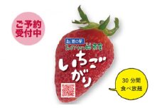 No.194 道の駅　みのりの郷東金　いちご狩り ／ 果物 フルーツ 苺狩り 体験チケット 7種 食べ放題 千葉県 特産品