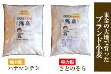 No.197 鴇嶺（ときがみね）「ハナマンテン」「さとのそら」各1kg×2袋セット ／ 国産 小麦粉 強力粉 中力粉 パン用 麺用 ピザ用 うどん用 千葉県 特産品