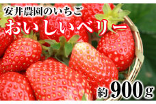 No.184 【安井農園のいちご】おいしいベリー　約900g ／ フルーツ 果物 イチゴ 苺 千葉県 特産品