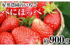 No.185 【安井農園のいちご】べにほっぺ　約900g ／ フルーツ 果物 イチゴ 苺 千葉県 特産品