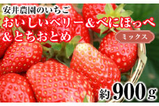No.186 おいしいベリー＆べにほっぺ＆とちおとめ　ミックス　約900g ／ フルーツ 果物 イチゴ 苺 千葉県 特産品
