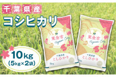 No.231 【令和6年産】千葉県産コシヒカリ10kg（5kg×2袋） ／ 精米 お米 米 香り 粘り 甘味 こしひかり 千葉県