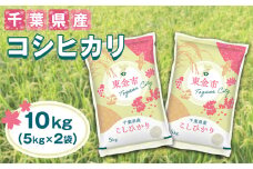 No.231 【令和6年産】千葉県産コシヒカリ10kg（5kg×2袋） ／ 精米 お米 米 香り 粘り 甘味 こしひかり 千葉県