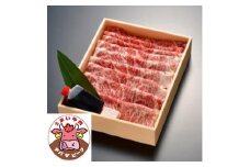 国産牛肉 すき焼き用 みやざわ牛 最優秀賞 受賞 サーロイン 500g 割り下 タレ 牛脂 付き 冷凍 すき焼き 鍋 千葉県 産 ブランド牛 ブランド 国産 牛肉 牛 肉 niku 精肉 すき焼き肉 すきやき 国産牛 黒毛和牛 和牛 惣菜 加工品 グルメ お取り寄せ グルメ 人気 おすすめ 送料無料 ふるさと納税株式会社グッドパートナーズ 千葉県 旭市