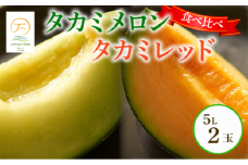 ＜2025年先行予約＞ タカミメロン 青肉 赤肉 セット 5Lサイズ×各1玉 6月 7月 発送 産地直送 メロン 食べ比べ 高級 ブランド 糖度 貴味 タカミ タカミレッド 飯岡メロン ブランドメロン 贈り物 贈答 ギフト プレゼント 果物 フルーツ おすすめ 人気 デザート 千葉県 旭市 飯岡 石毛農園 igf007