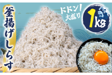 釜揚げしらす 約1kg (約250gx4P小分け包装) ふっくら しらす 九十九里産 シラス 釜揚げ 天日干し 魚介類 無添加 魚介 海の幸 海 魚 贈答 ギフト プレゼント 贈答 記念日 お祝い 送料無料 千葉県 旭 飯岡ヤマイチ水産-大納屋- メディア 千葉県 旭市
