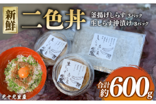 二色丼 生シラウオ沖漬け 釜揚げしらす セット 各3パック 合計600g しらす 白魚 シラウオ 釜揚げ 沖漬け 海鮮丼 魚介類 無添加 魚介 贈答 ギフト プレゼント 贈答 記念日 お祝い 送料無料 ふるさと納税 飯岡ヤマイチ水産-大納屋- メディア 千葉県 旭市