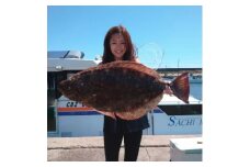 釣り船 ヒラメ 乗船券 【午前】手ぶらOK 千葉県飯岡港 フィッシング 釣り 鯛 魚 魚釣り リール 竿 船 漁船 大型船 大漁旗 飯岡港 外房 九十九里 九十九里浜 千葉 海 海釣り 沖釣り 新鮮魚 魚介 初心者 歓迎 午前ヒラメ船乗船券 ふるさと納税 有限会社幸丸 千葉県 旭市
