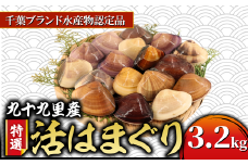九十九里産 活け はまぐり 約3.2kg/34～44個 ≪千葉ブランド水産物認定品≫ 天然 蛤 ハマグリ 活 冷蔵 魚介 魚貝  魚介類 二枚貝 海鮮 貝 貝類 海鮮  貝  出汁 だし 味噌汁 酒蒸し グラタン 九十九里浜 お祝い 祝い ひなまつり 節句 おせち 贅沢 人気 おすすめ 贈答 ギフト お取り寄せ 送料無料 ふるさと納税  不動丸 千葉県 旭市 fdm001