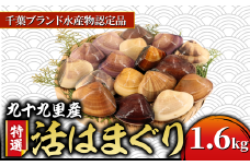 ≪千葉ブランド水産物認定品≫  活け はまぐり 約1.6kg/18～25個 天然  蛤 九十九里産 活 大 冷蔵 魚介 魚貝 海鮮  貝  出汁 だし 味噌汁 酒蒸し グラタン 九十九里浜  お祝い 祝い ひなまつり 節句 おせち 贅沢 人気 おすすめ 贈答 ギフト お取り寄せ 送料無料 ふるさと納税 不動丸  千葉県 旭市 fdm004X1