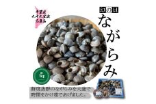 九十九里産 釜茹で ながらみ 約 1kg 小分け包装 貝 九十九里産 九十九里浜 九十九里 小分け 巻貝 巻き貝 珍味 貝類 貝 釜茹で 魚貝類 無添加 魚介 贈答 ギフト プレゼント 贈答 記念日 お祝い 送料無料 千葉県 旭 飯岡ヤマイチ水産-大納屋- 千葉県 旭市 iys006